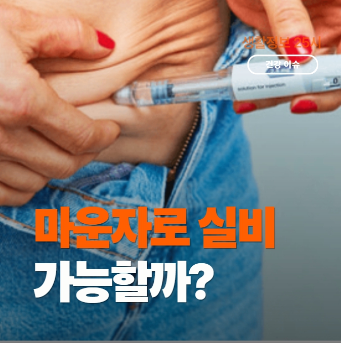 마운자로실비청구