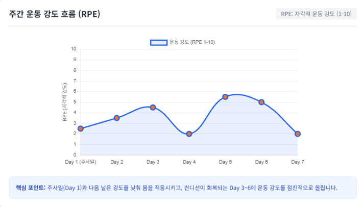 마운자로 1주차 운동패턴