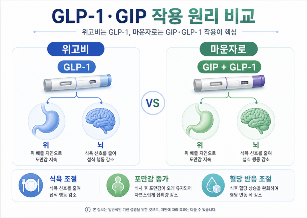 GLP-1 GIP 작용 원리 비교