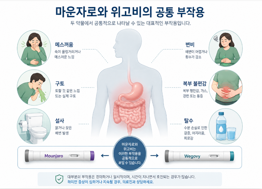 마운자로 위고비 공통 부작용 위장 증상