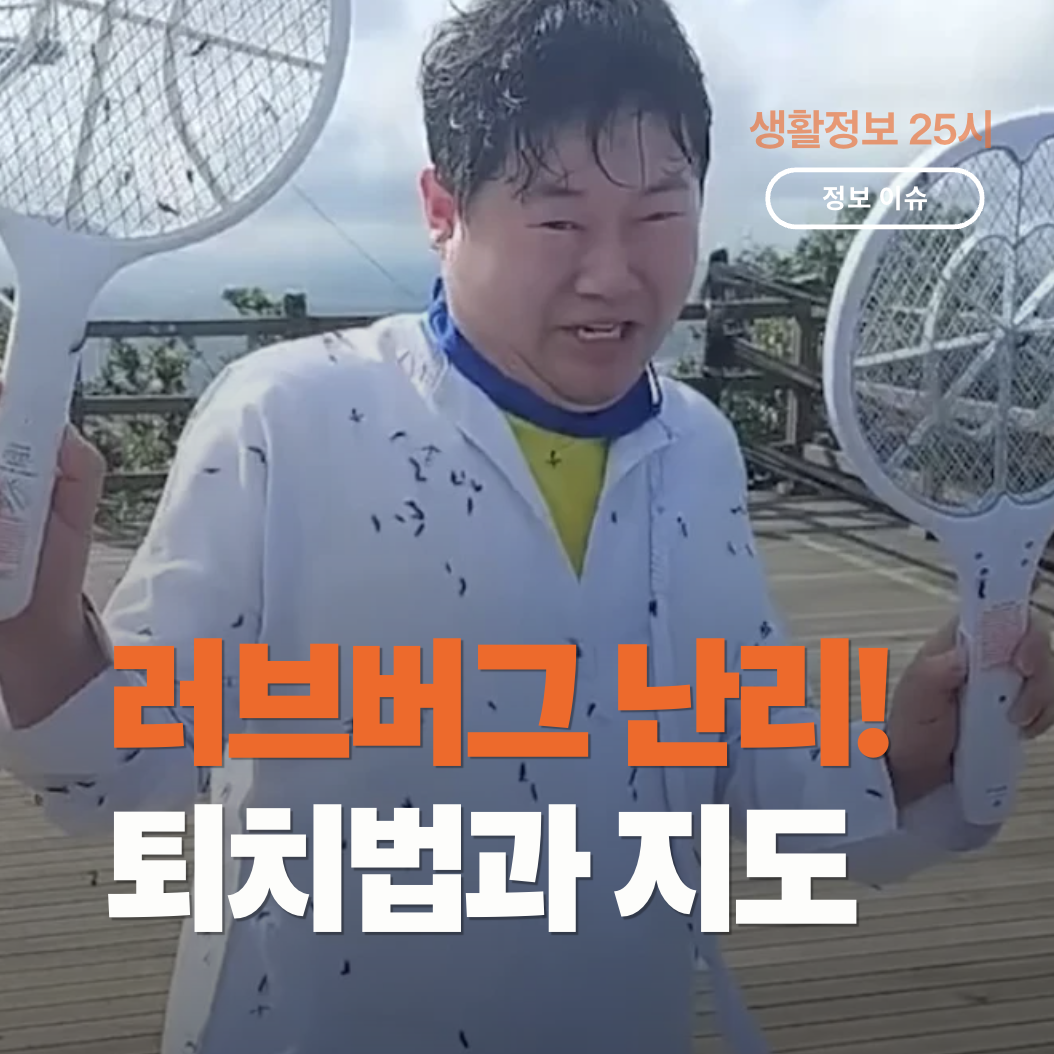 아파트 베란다 유리창에 쌍으로 붙어 있는 러브버그 붉은등우단털파리 성충 모습